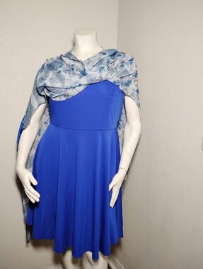 New Spring Long Blue Scarf With Fringe